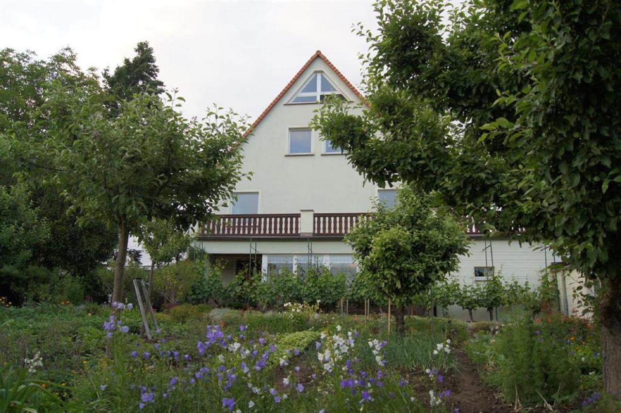 Pension Elbblick Sabine Zuschke Meißen Exterior foto