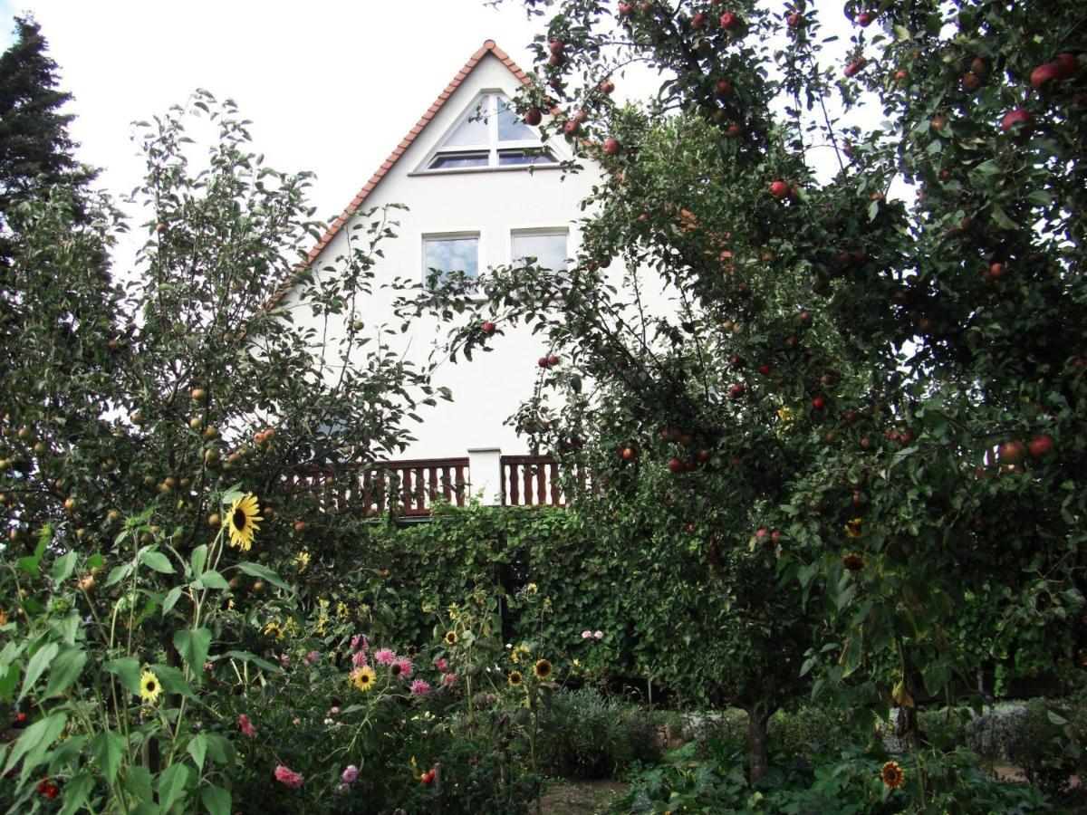 Pension Elbblick Sabine Zuschke Meißen Exterior foto